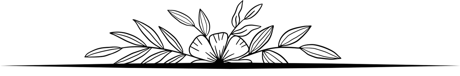 title-graphic-top-black